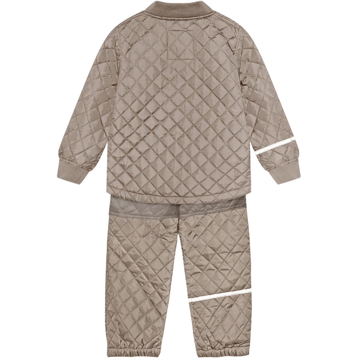 CeLaVi Fungi Basic Thermal Set -Solid