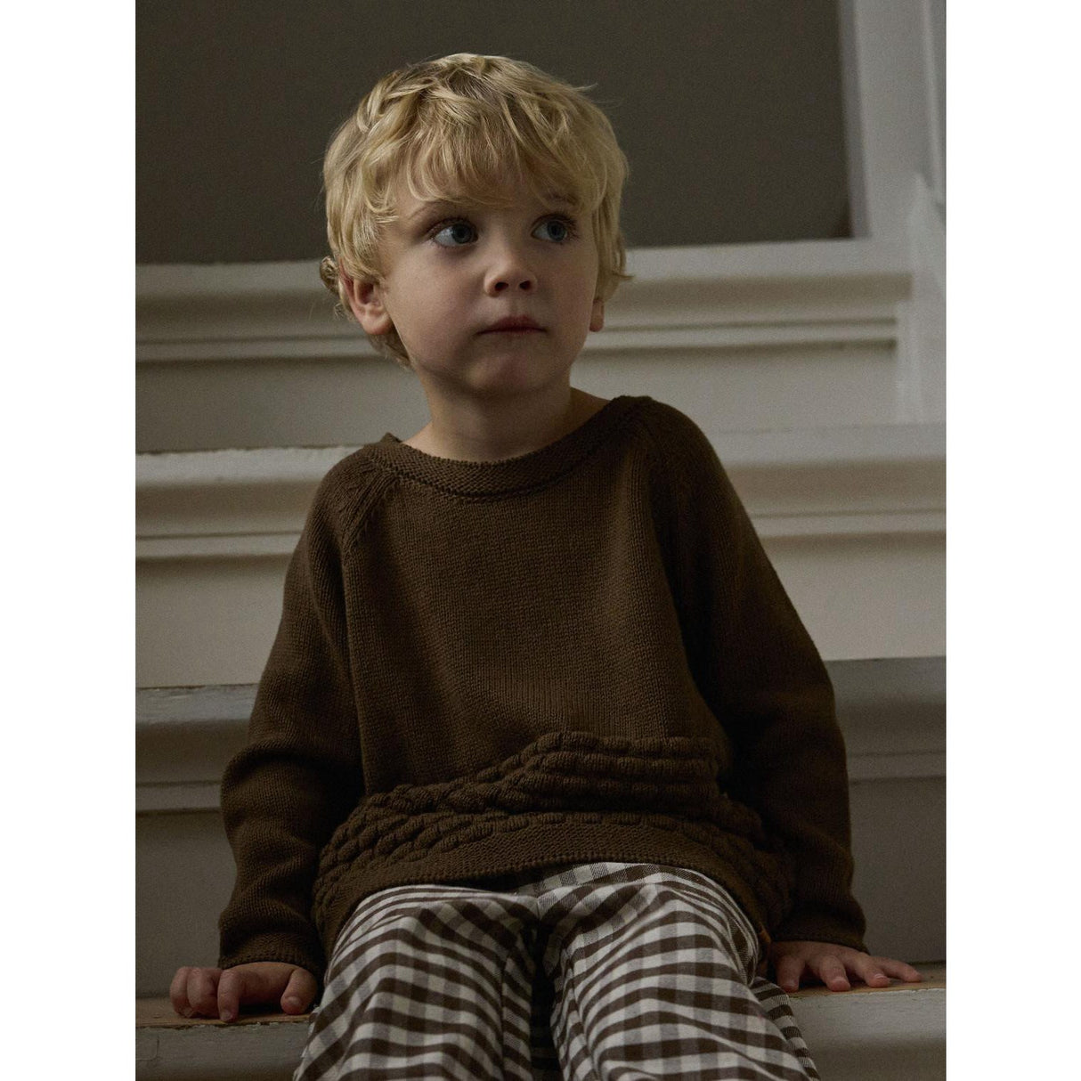 Lil'Atelier Teak Nmnnobir Ls Knit Lil