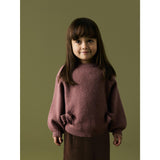 Name It Wild Ginger Nmfndoper Ls Knit