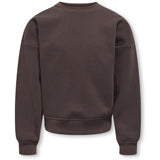kids ONLY Coffee Bean Birch/Houston Kogsweat L/S Back/Sleeve Print Swt Noos