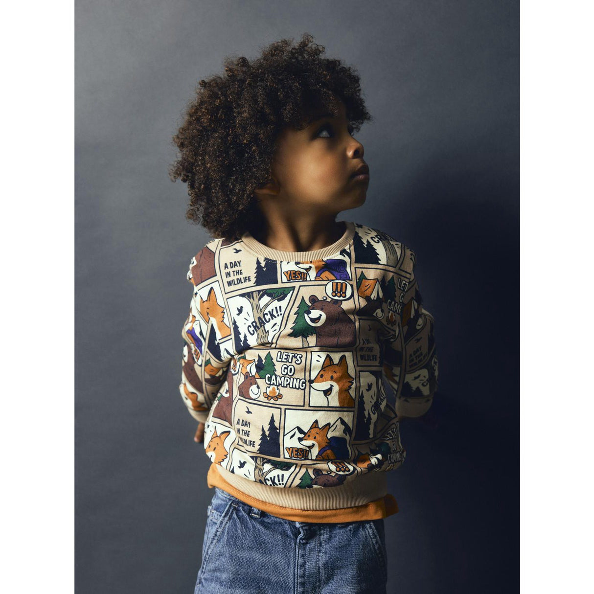 Name It Sesame Nmmoswaldy Ls Nreg Sweat Bru Box