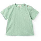 COPENHAGEN COLORS Sharp Green W Cream Stripe Seersucker Ss Blouse