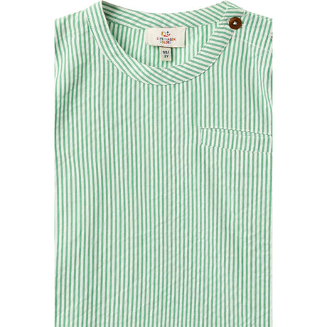 COPENHAGEN COLORS Sharp Green W Cream Stripe Seersucker Ss Blouse