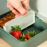 DonebyDeer Green Tiny Trails Lunch Box With Divider