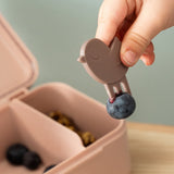 DonebyDeer Powder Tiny Farm Tiny Lunch Box With Snack Picks