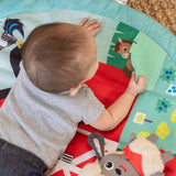 Baby Einstein Happy Harvest™ Touch & Feel Activity Gym