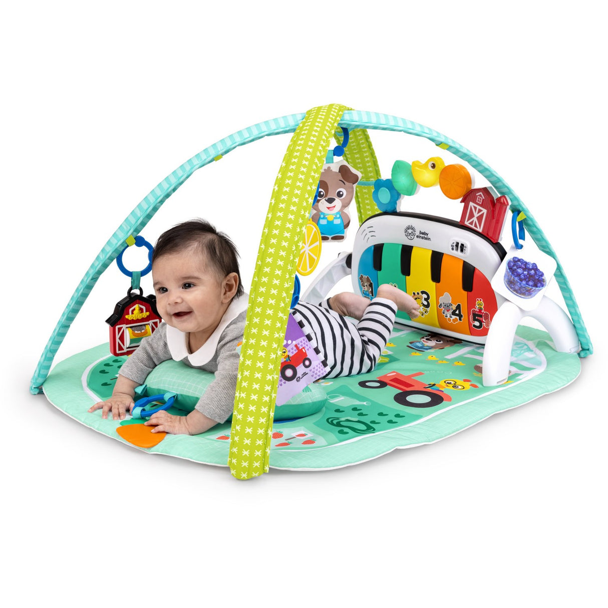 Baby Einstein 4-in-1 Kickin’ Tunes™ Musical Meadow™ Music & Language Discovery Gym