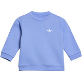 adidas Originals Blue Fusion Crew Pants Set