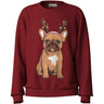 Name It Red Dahlia French Bulldog Nkfvrasab Ls Nreg Sweat Bru
