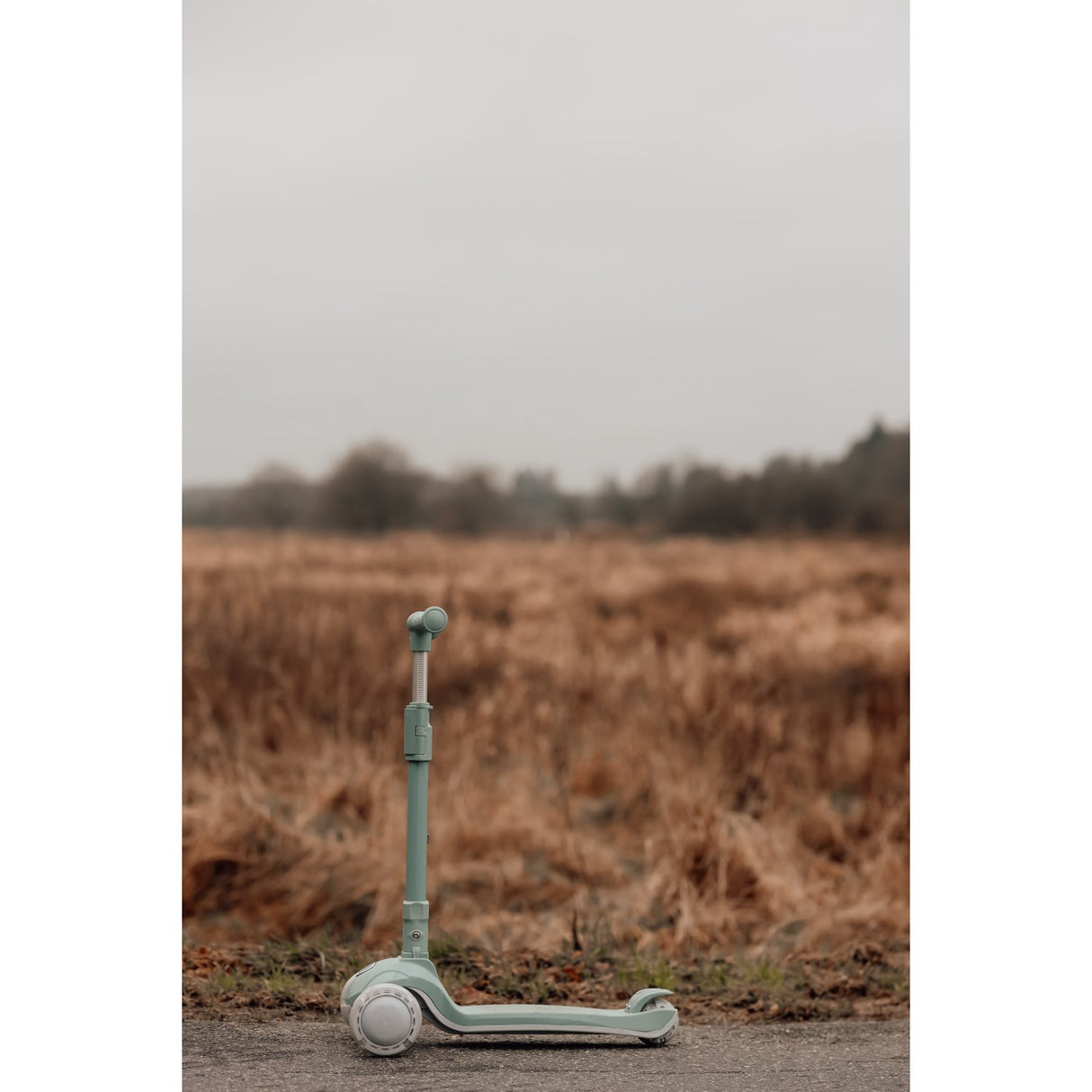Vanilla COPENHAGEN Fern Mini Scooter Fern