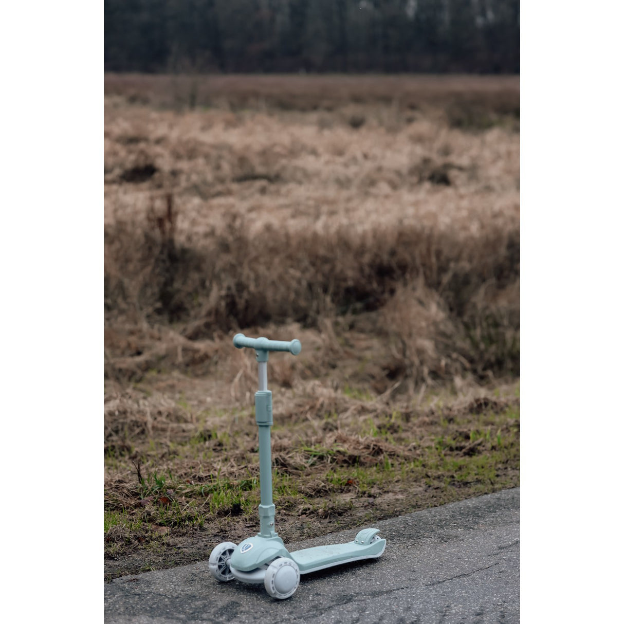 Vanilla COPENHAGEN Fern Mini Scooter Fern