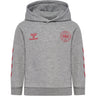 Hummel Grey Melange Jr Reg Dbu Hoodie
