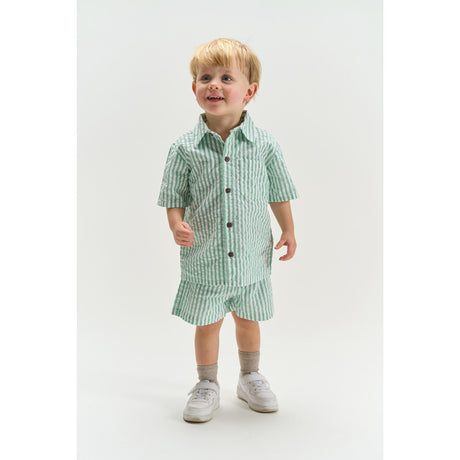 THE NEW Siblings Créme De Menthe Striped Tnsttate Shorts