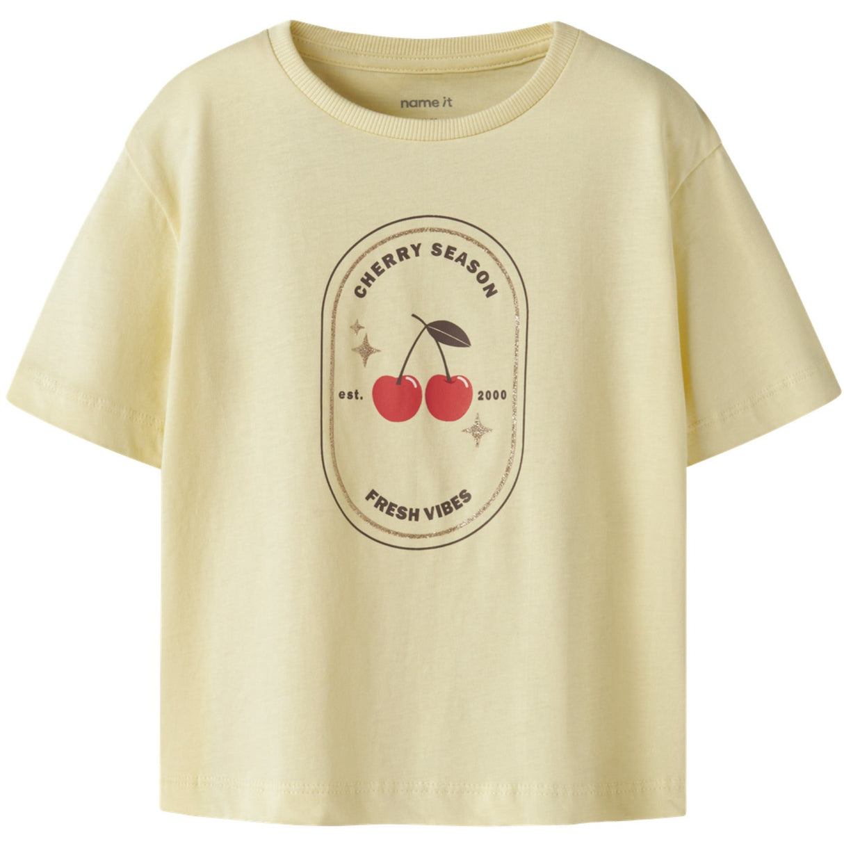 Name It Anise Flower Nmfkatrina Ss Nreg Top Pb