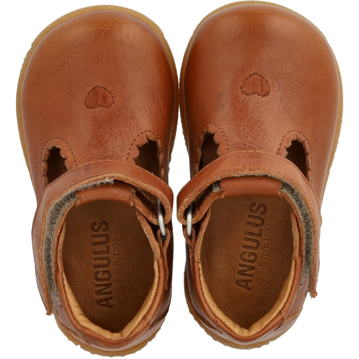 Angulus Cognac Tullesko With Hjerte