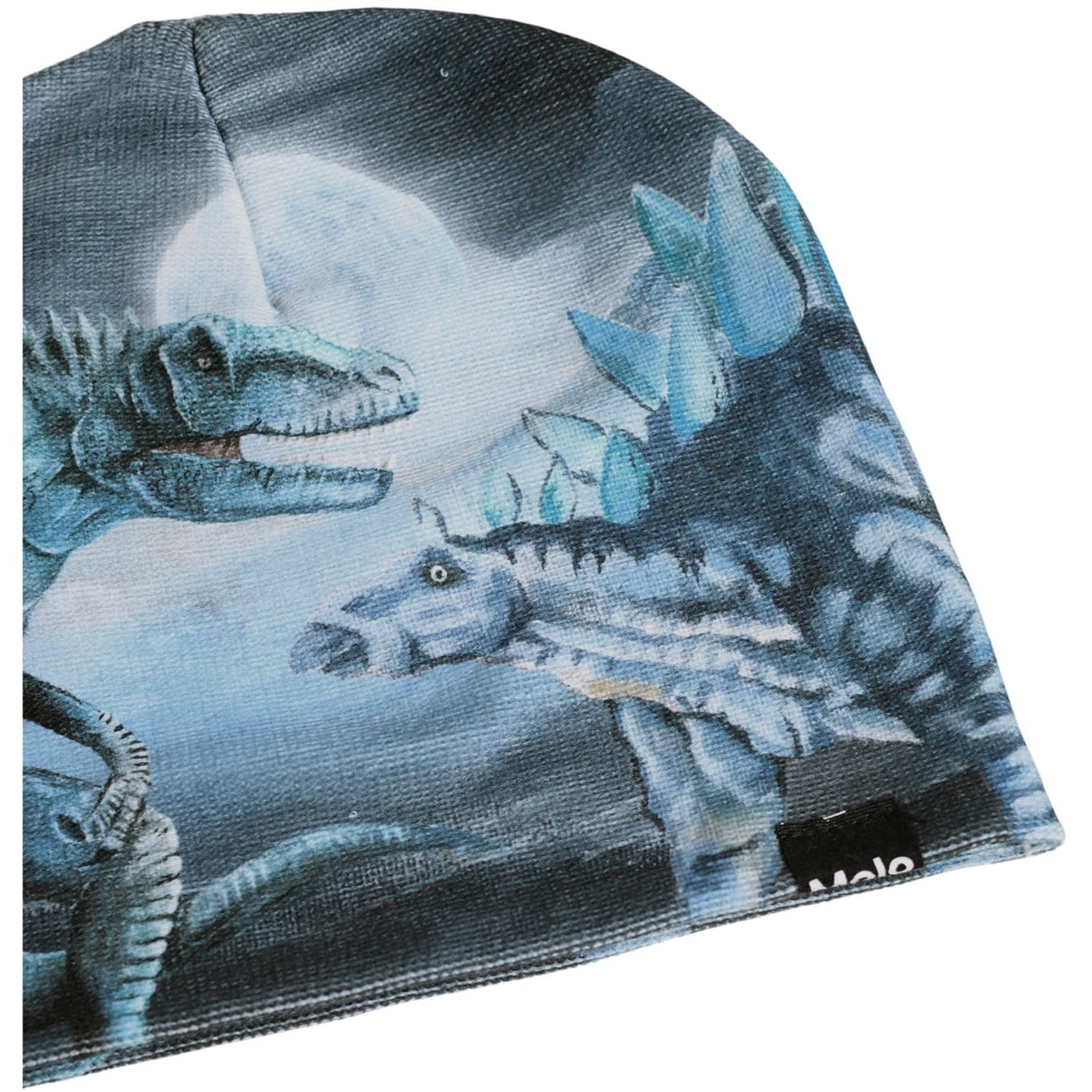 Molo Arty Dinos Kaya Outerwear Set