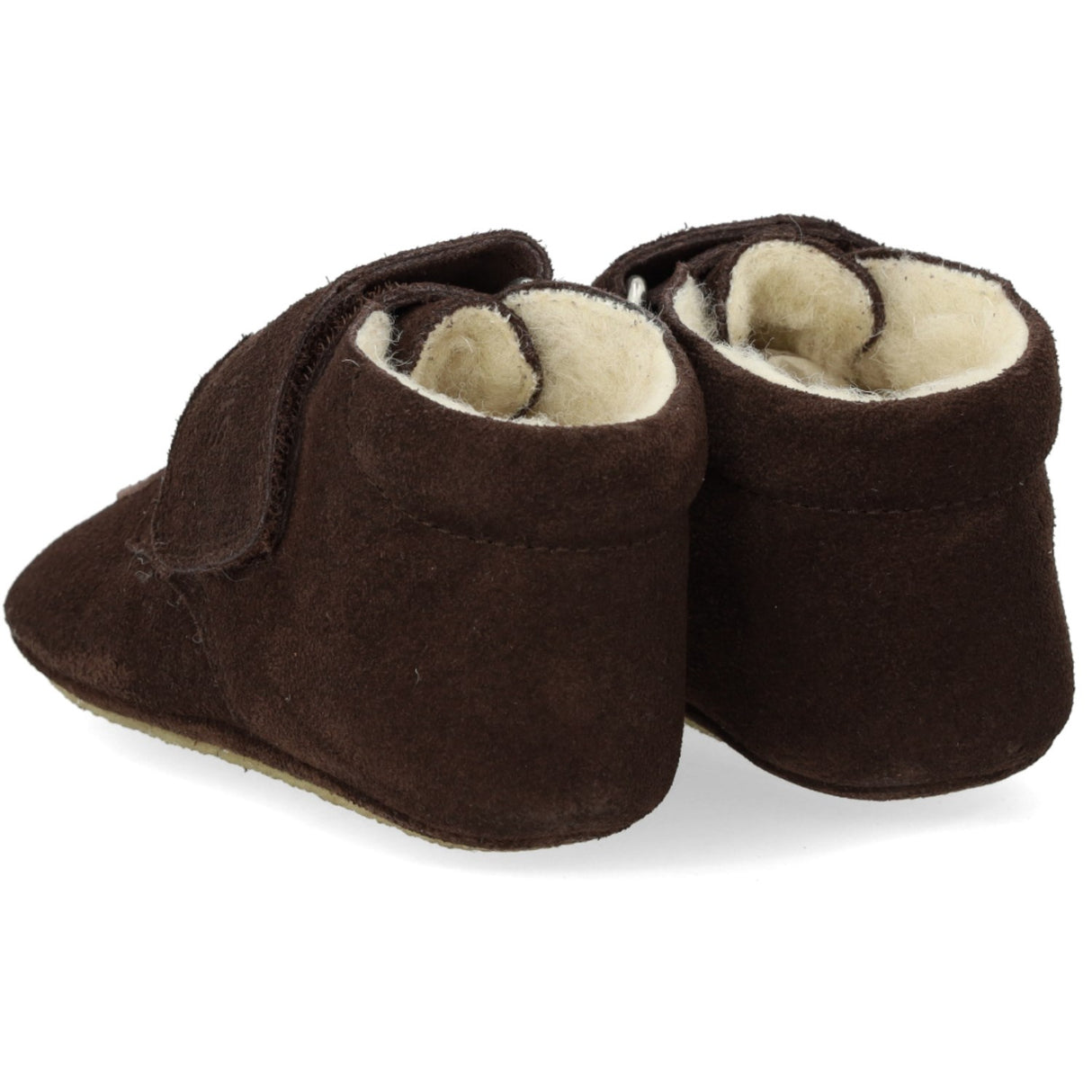 Angulus Dark Brown Prewalker With Teddy