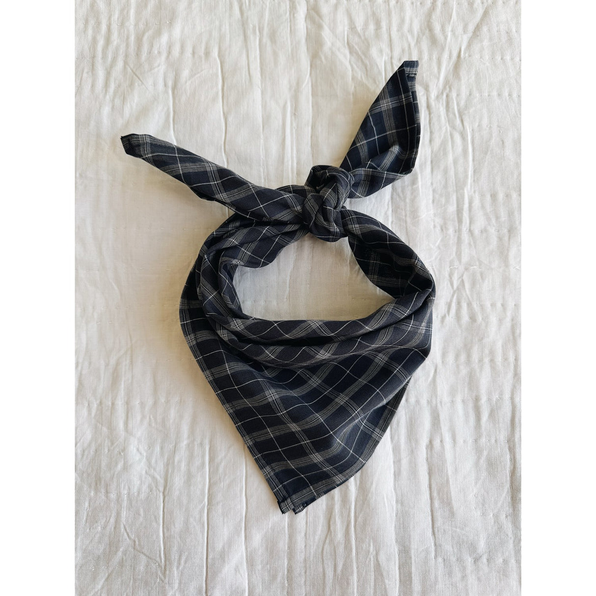 Lalaby Blue Check Vera Scarf