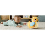 Fisher-Price® Flap & Follow Duck