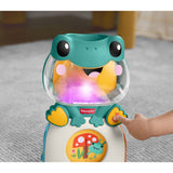 Fisher-Price® Seek & Find Frog