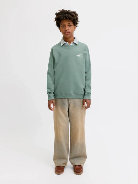 Jack & Jones Junior Laurel Wreath Jornorrebro Typo Back Sweat Cn Jnr