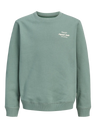 Jack & Jones Junior Laurel Wreath Jornorrebro Typo Back Sweat Cn Jnr