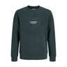 Jack & Jones Junior Scarab Jjesoho Sweat Crew Neck Sn Jnr