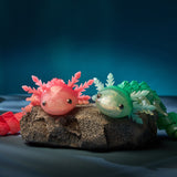 CrystaLynx Axolotl Assorted I CDU