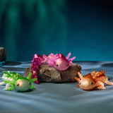 CrystaLynx Axolotl Assorted I CDU