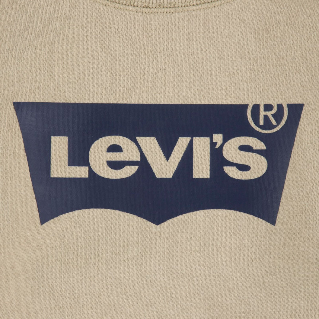Levi's Fields Of Rye Batwing Crewneck