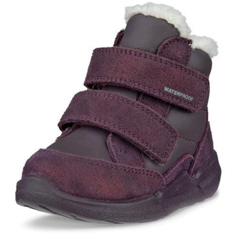 Ecco Mauve/Night Shade Barolo Biom 2.2 Inf. Ankle Boot