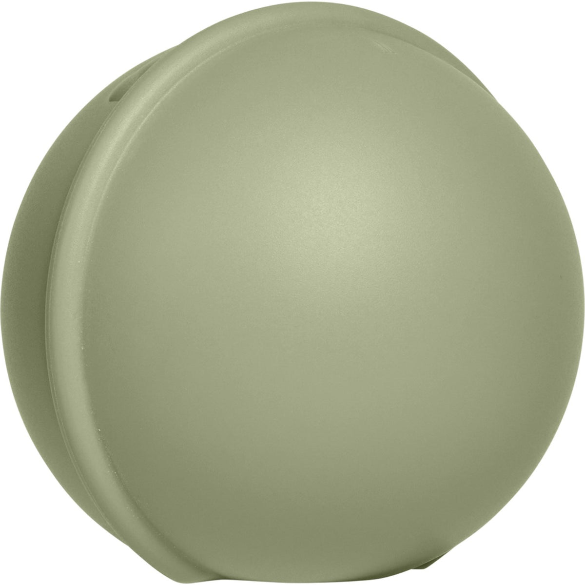 Bibs Sage Pacifier Case Mini