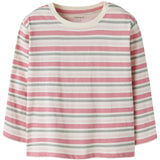 Name It Antique White Pink & Green Nmfvelda Ls Nreg Top