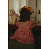 Konges Sløjd Veiled Rose Ally Ls Flower Dress