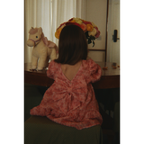 Konges Sløjd Veiled Rose Ally Ls Flower Dress