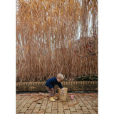 Mushie Water Wheel Bath Toy