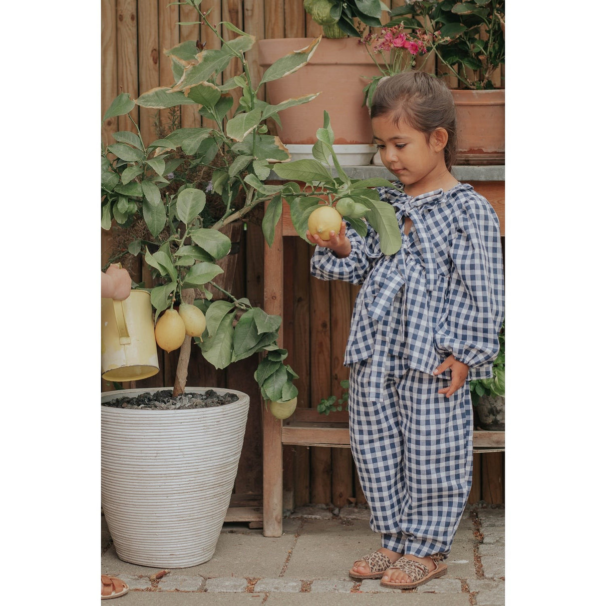 Fliink Insignia Sandshell Check Zorro Pants