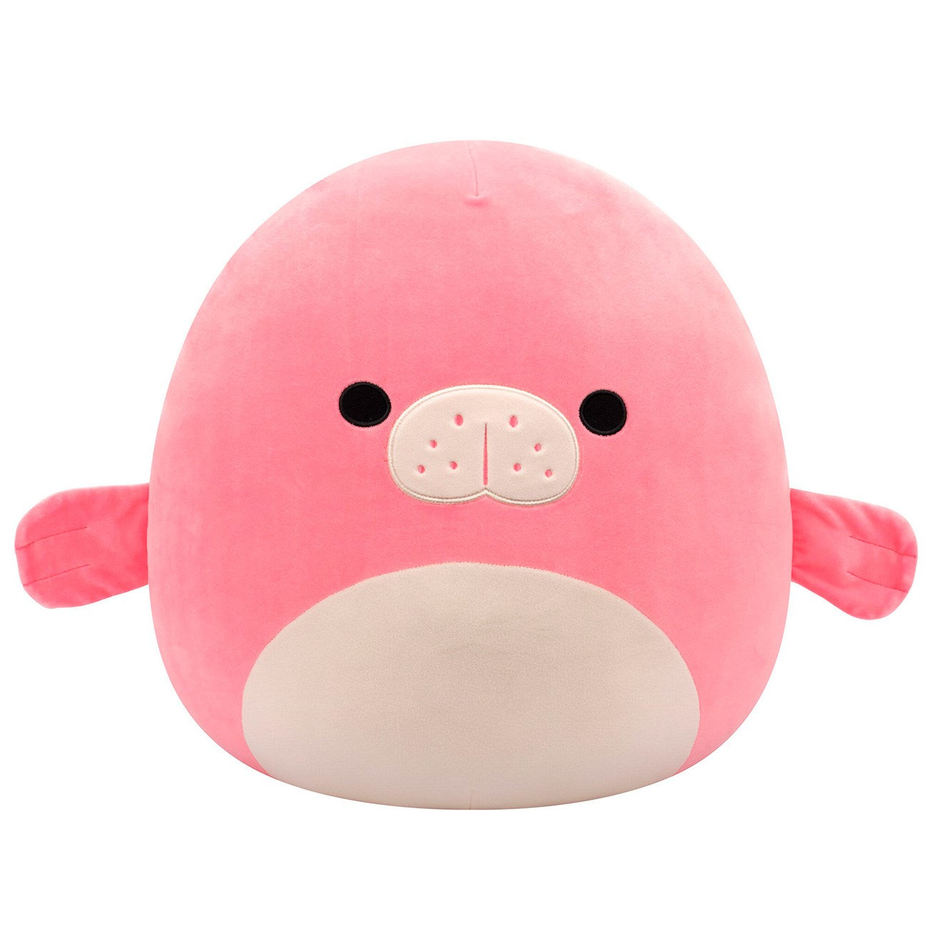 Marine life store squishmallow bundle