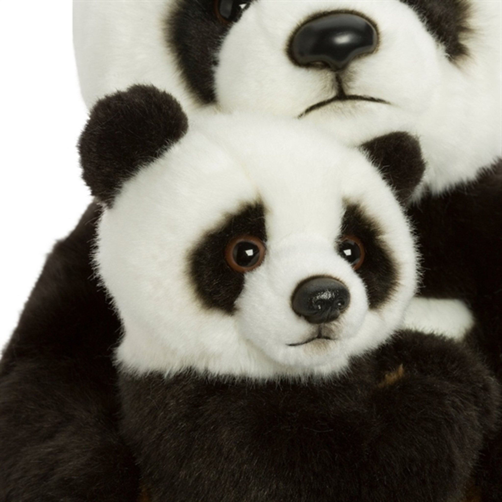 Bon Ton Toys WWF Plush Panda Mother And Baby 28 cm 5