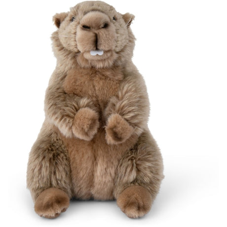 Bon Ton Toys WWF Plush Marmots 23 cm