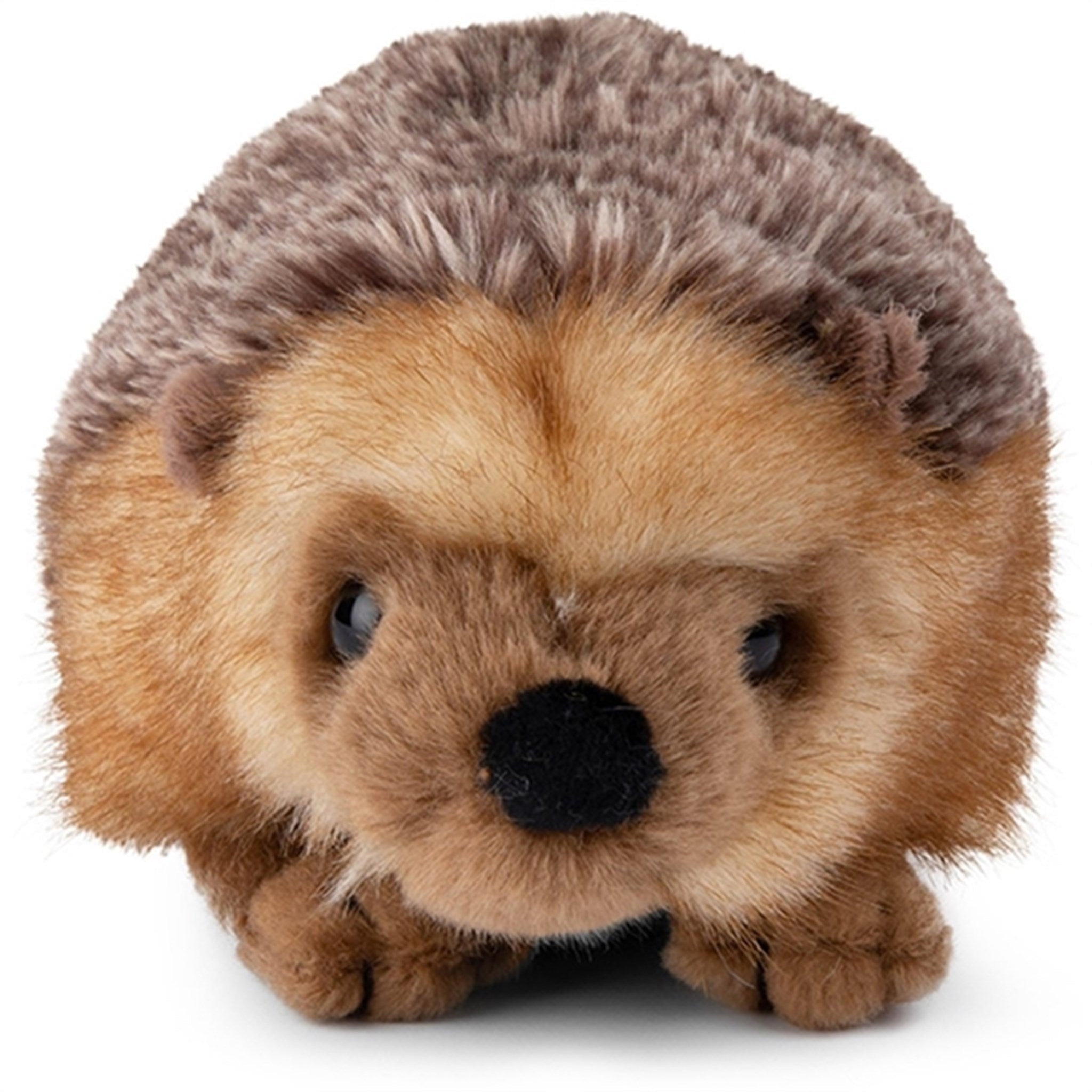 Bon Ton Toys WWF Plush Hedgehog 18 cm 2
