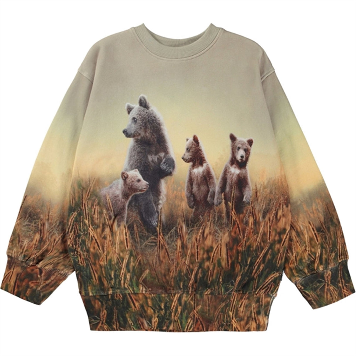 Molo Bear Life Mattis Sweatshirt