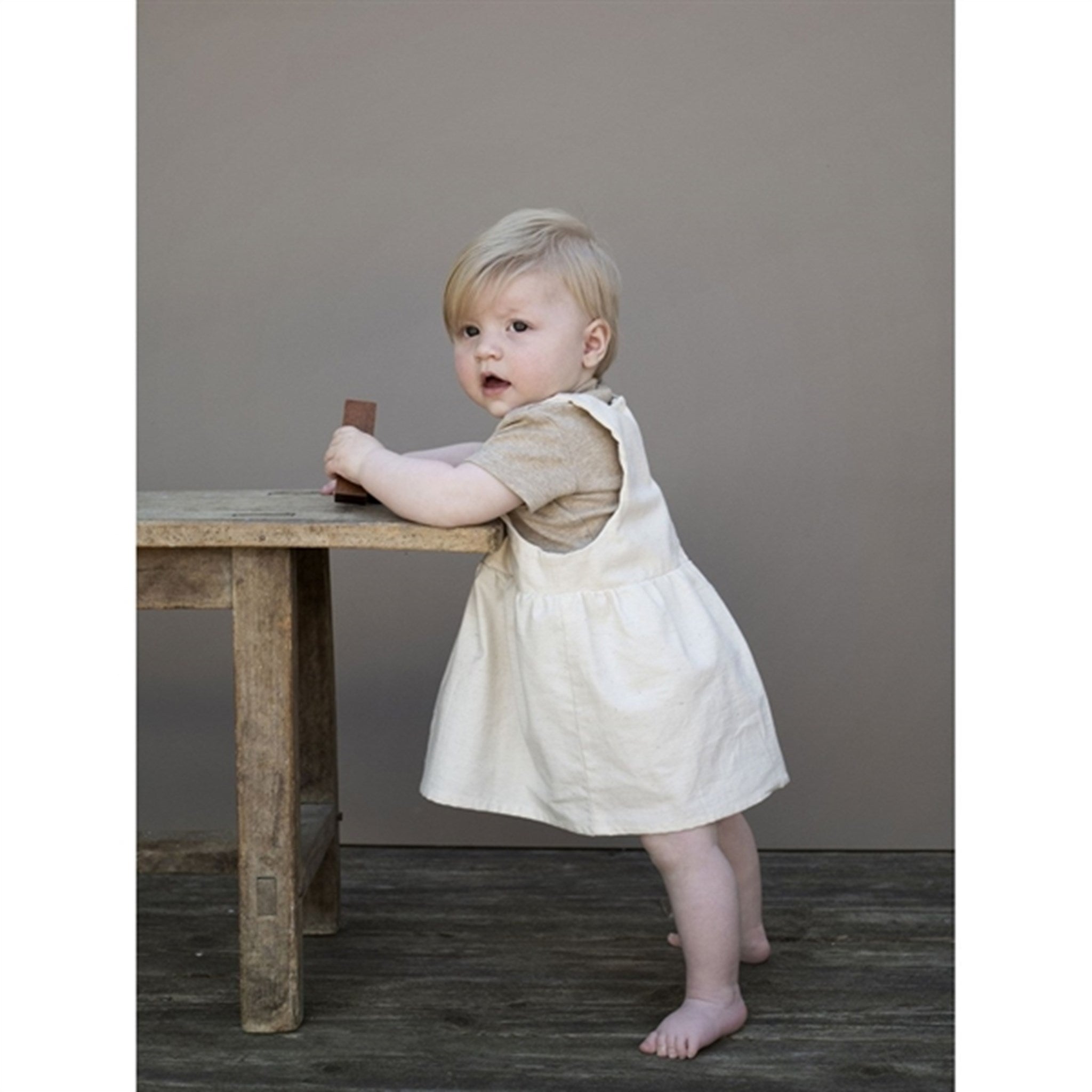 Serendipity Birch Baby Spencer Dress 2
