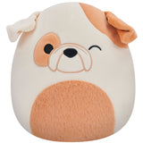 Squishmallows Brock the Winking Bulldog 19 cm P16