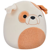 Squishmallows Brock the Winking Bulldog 19 cm P16 6