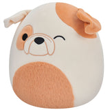 Squishmallows Brock the Winking Bulldog 19 cm P16 2