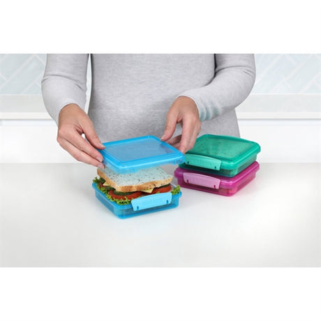 Sistema Sandwich Box Lunch Box 450 ml Lunch Mixed Pack 3-pack