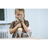 Dantoy Bio Ice Cream Set