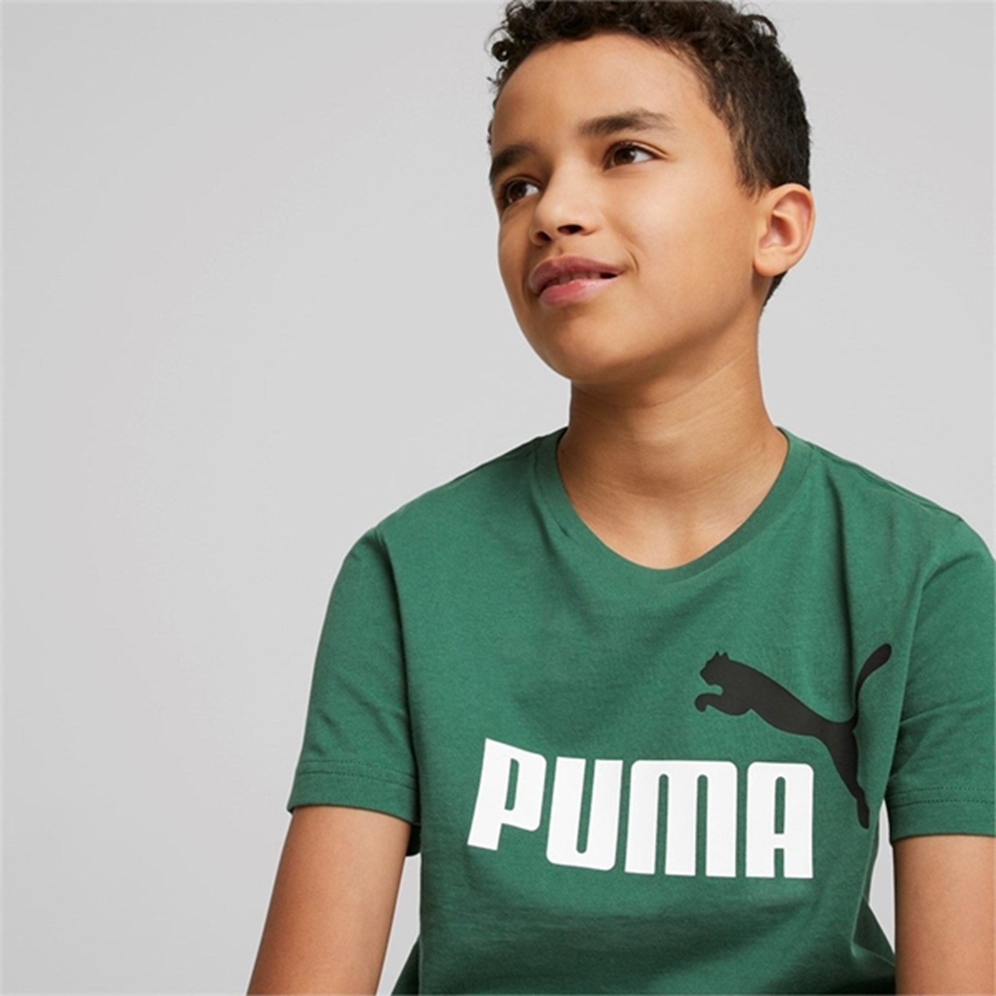 Puma ESS+ 2 Col Logo T-shirt Vine 3