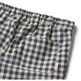 Wheat Blue Check Pants Andy 3